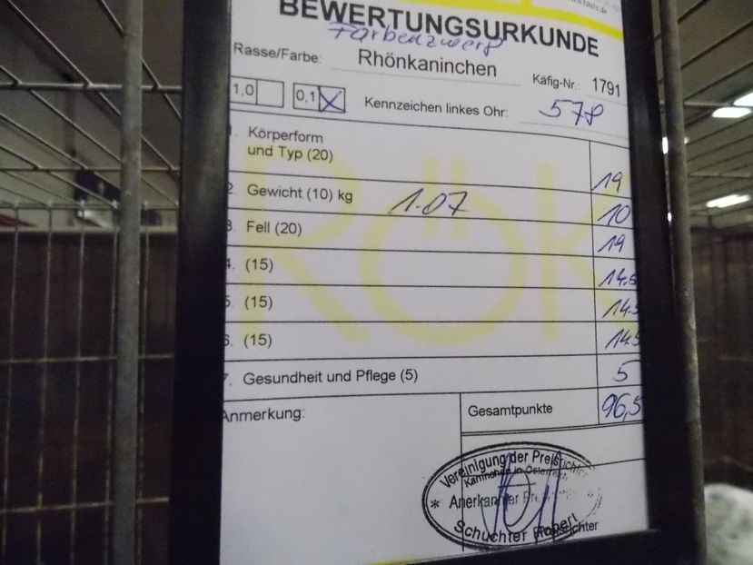  - EXPO-2017- NATIONALA AUSTRIEI WELS