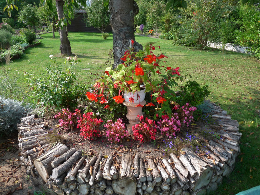 Toamna din nou! - 00_Sub cires