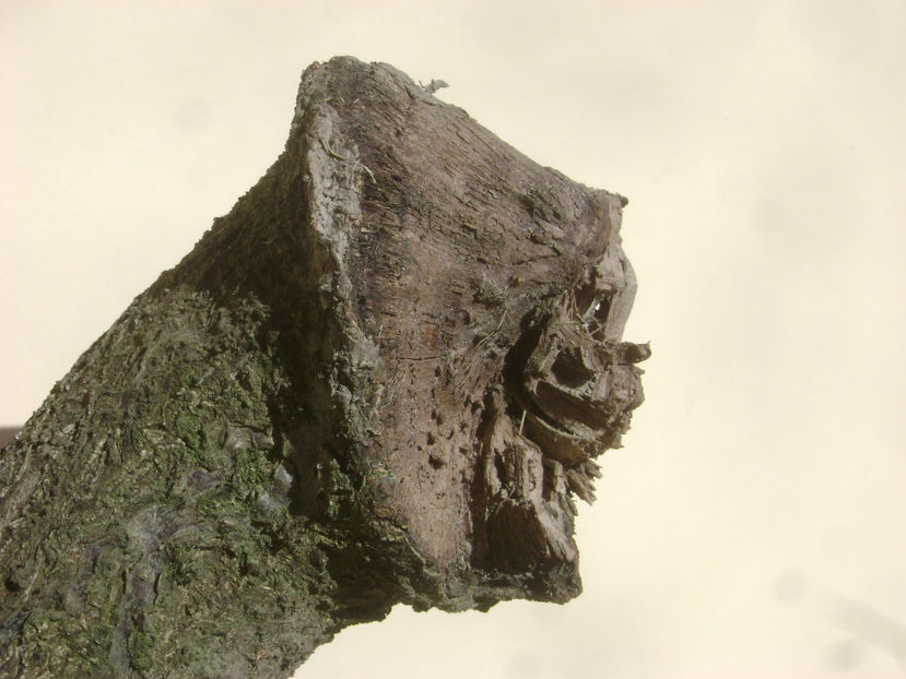 Incompatibilitate par - Incompatibilitate par