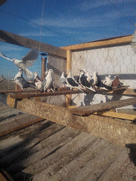  - Ce detin in prezent