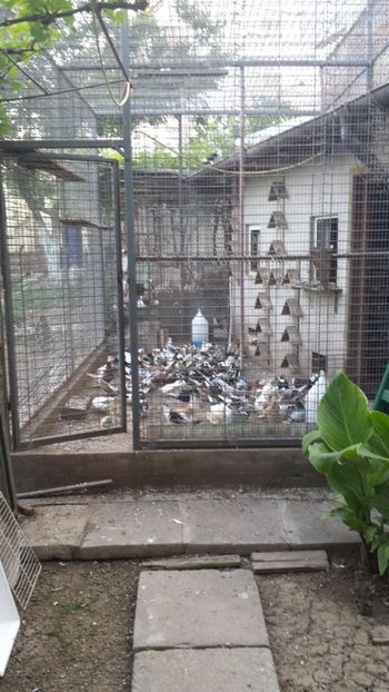 IMG-20160523-WA0000 - Poze orhei