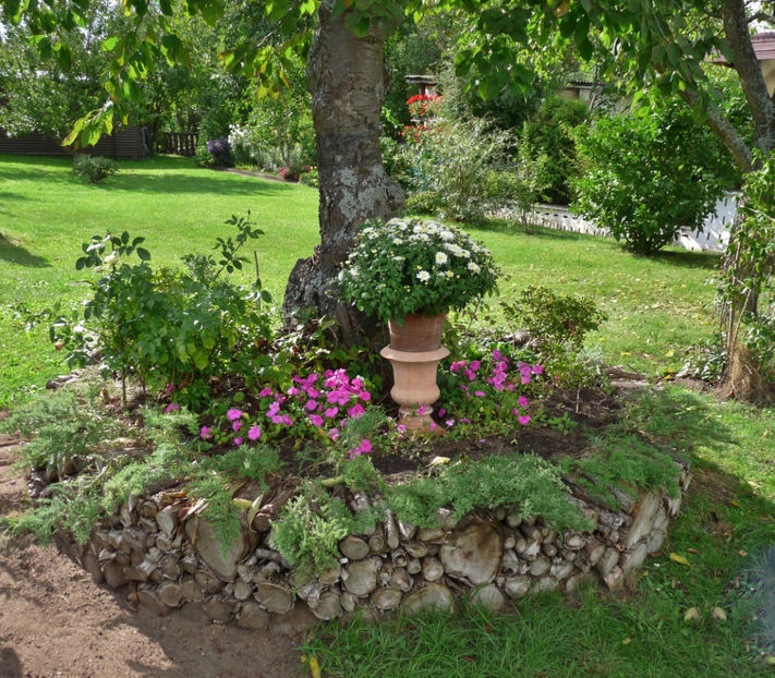 A venit si toamna! - 00_Sub cires