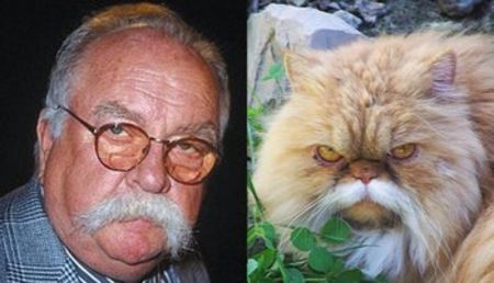 wilfred-brimley - VEDETE CARE SEAMANA CU ANIMALE SI PASARI