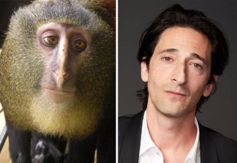 celebs_similar_animal_doppelgangers_04 - VEDETE CARE SEAMANA CU ANIMALE SI PASARI