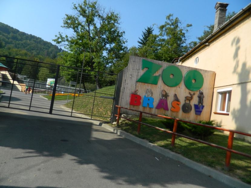  - 2017 ZOO BRASOV