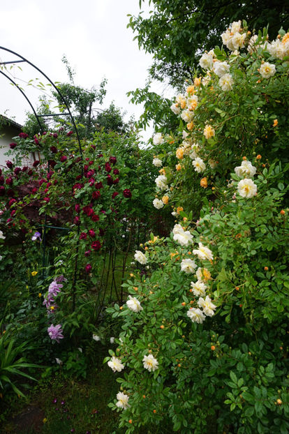  - Ghislaine de Feligonde