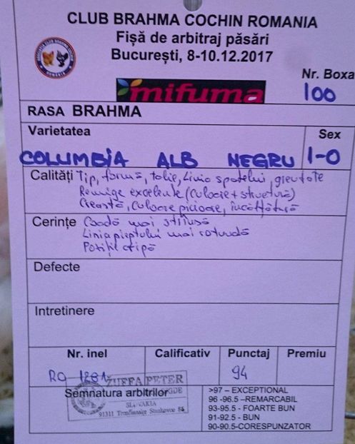 FISA M BHD CLUB - EXPOZITIA CLUB BRAHMA-COCHIN - NATIONALA BUCURESTI 8-10 12 2017
