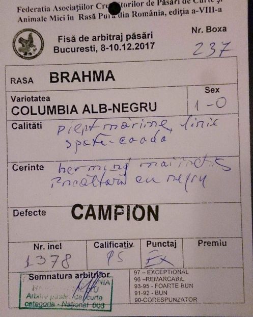FISA M BHD NATIONALA - EXPOZITIA CLUB BRAHMA-COCHIN - NATIONALA BUCURESTI 8-10 12 2017
