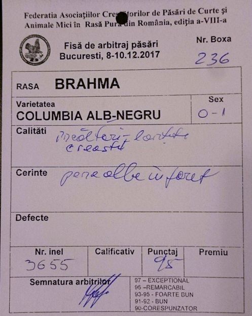 FISA F1 BHD NATIONALA - EXPOZITIA CLUB BRAHMA-COCHIN - NATIONALA BUCURESTI 8-10 12 2017