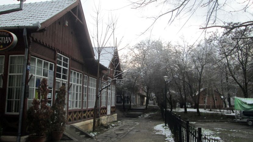 77 Spre parcul cu nuferi de apa termala - 2017 Z