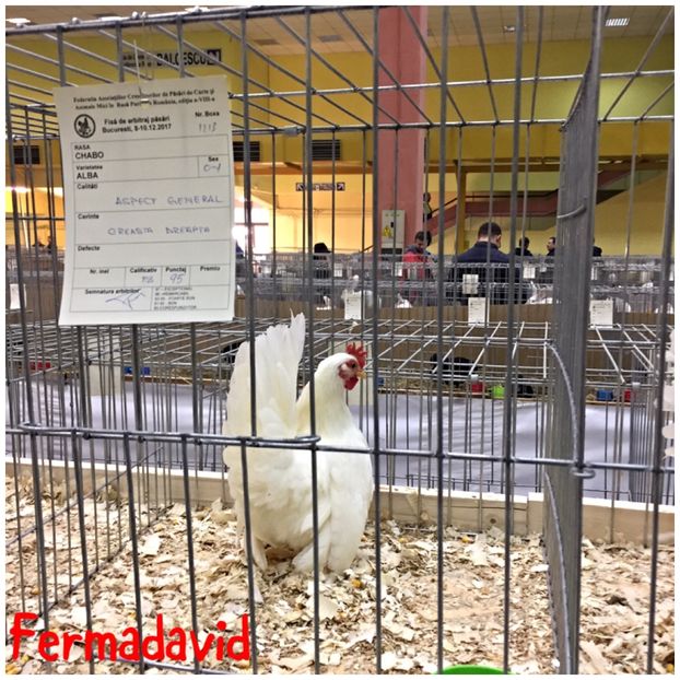  - Expozitia Nationala a Romaniei Romexpo 2017