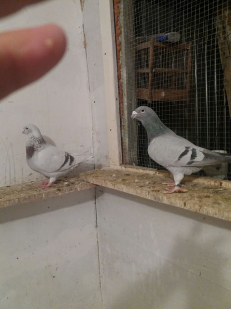 IMG-20171211-WA0058 - VRDF 2018