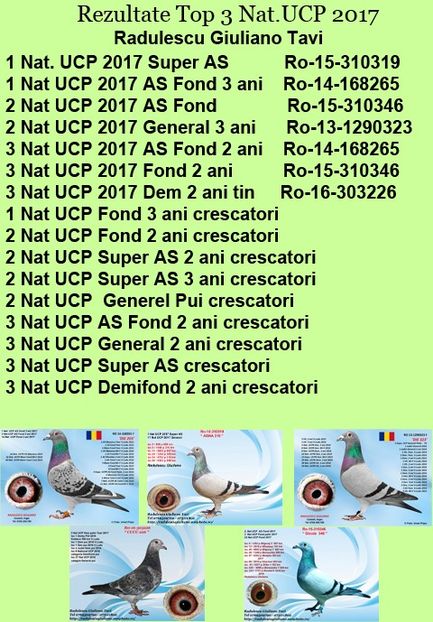 REZ TOP 3 NAT 2017 - REZULTATE NATIONALE 2017