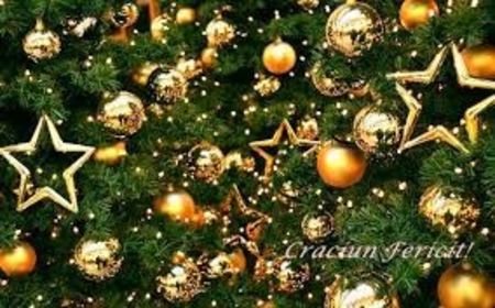 images - Sarbatorile Craciunului 2017