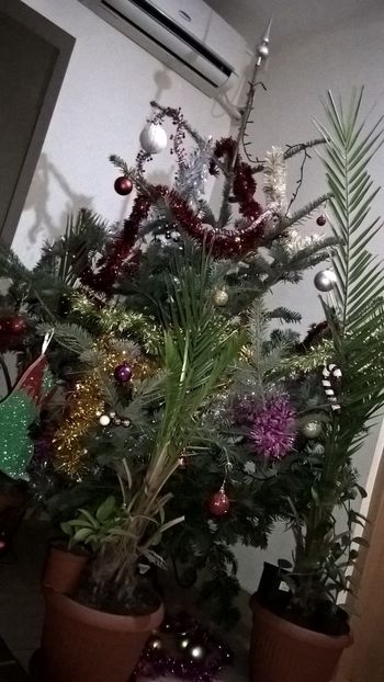  - Tulcea 2017
