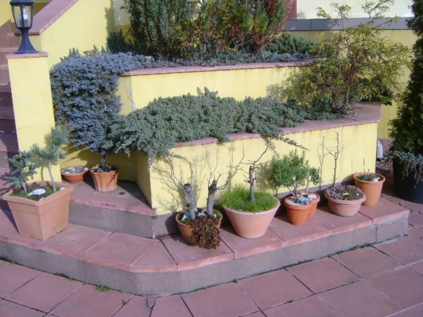 21 dec. 2017 - Solstitiul de iarna - v Iarna 2016-2017-2018