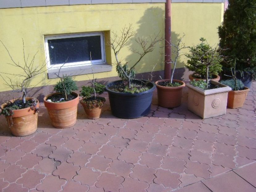 21 dec. 2017 - Solstitiul de iarna - v Iarna 2016-2017-2018