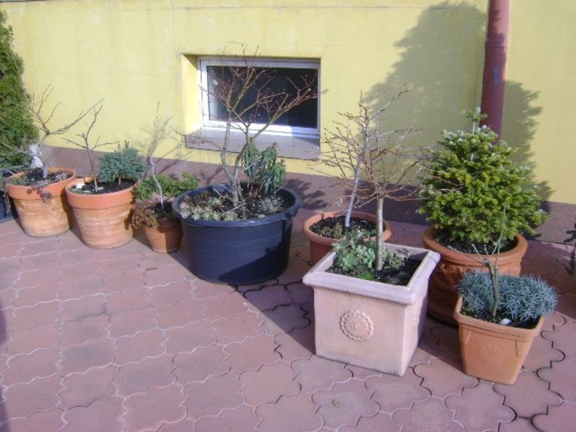 21 dec. 2017 - Solstitiul de iarna - v Iarna 2016-2017-2018