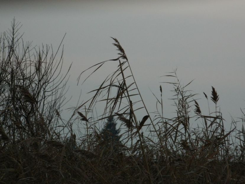  - 2017 Apus de soare