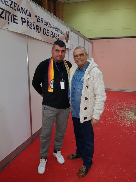  - 2--PORUMBARI PASARARI PRIETENI