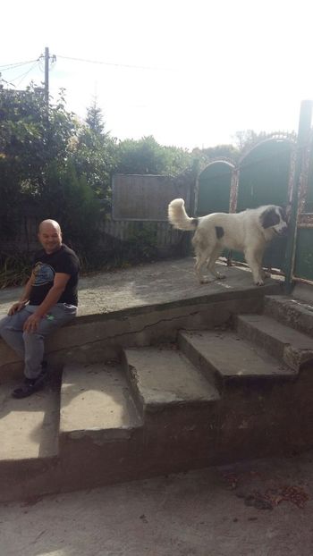 IMG-20171018-WA0001 - Ciobanesc carpatin pui