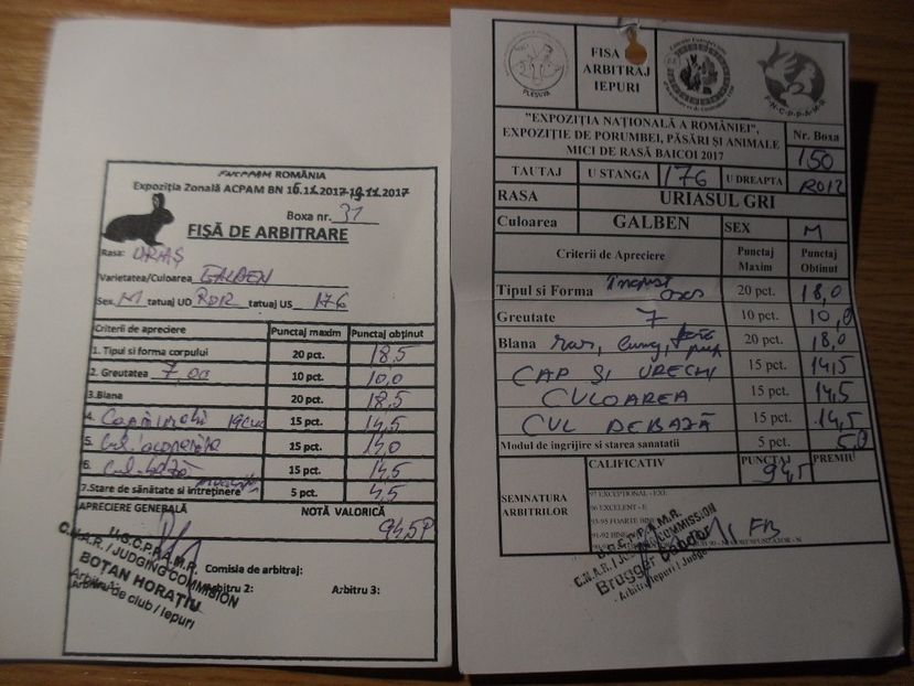 Mascul  u.g - DE VANZARE 2017