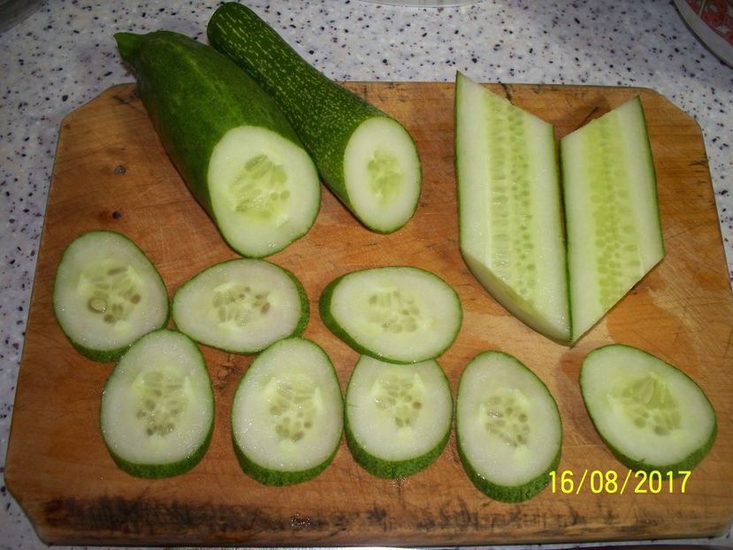 CASTRAVEȚI CHINESE SLANGEN (21) - CASTRAVEȚI CHINESE SLANGEN