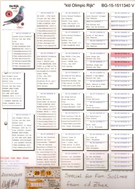 1511340ped - Achizitii - 2018 - matca