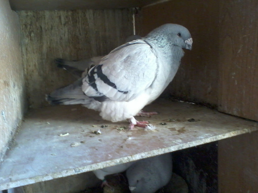 2017-12-25 09.30.12 - contact