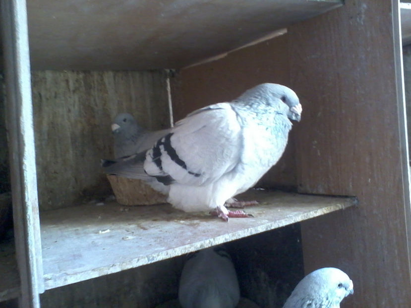 2017-12-25 09.33.29 - contact