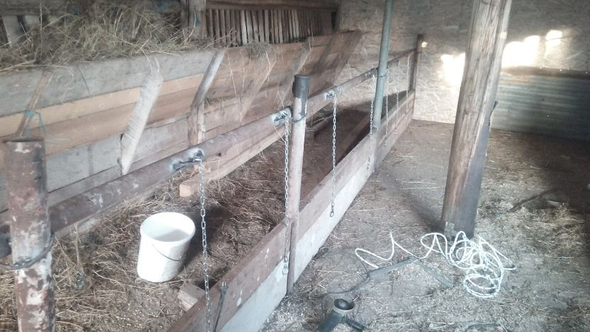  - tauri baltata romaneasca