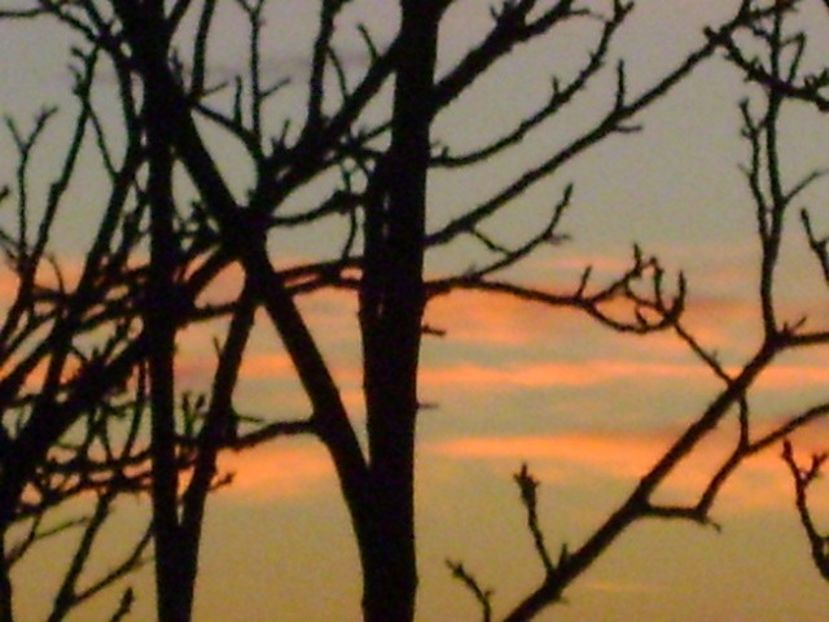 Ajun de Craciun 2017 - v Iarna 2016-2017-2018