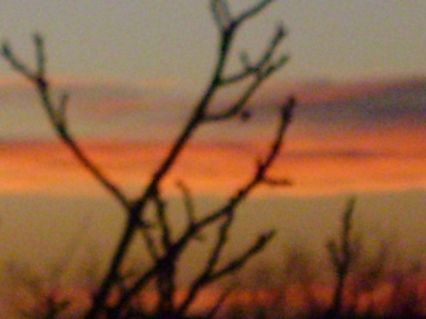 Ajun de Craciun 2017 - v Iarna 2016-2017-2018