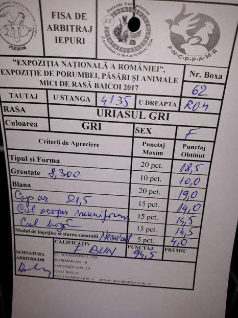 Femelă RO 4  4755 (tatuaj greșit în fișa de arbitraj) - Rezultate obținute la Expo națională BĂICOI 2017 și Expo Reginală LUGOJ 2017