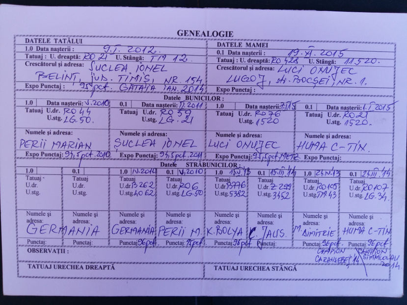  - Rezultate obținute la Expo națională BĂICOI 2017 și Expo Reginală LUGOJ 2017