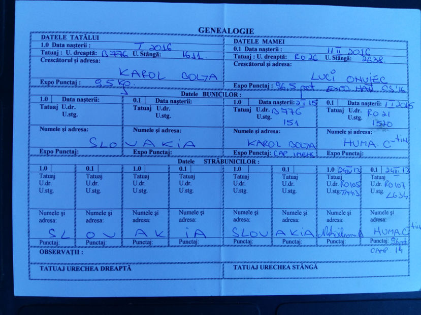  - Rezultate obținute la Expo națională BĂICOI 2017 și Expo Reginală LUGOJ 2017