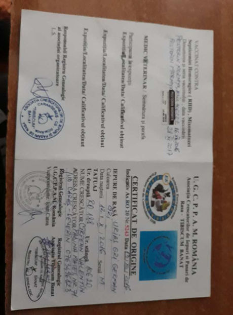  - Rezultate obținute la Expo națională BĂICOI 2017 și Expo Reginală LUGOJ 2017