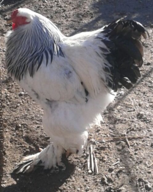 2017-12-25 13.05.16 - a-CONTACT