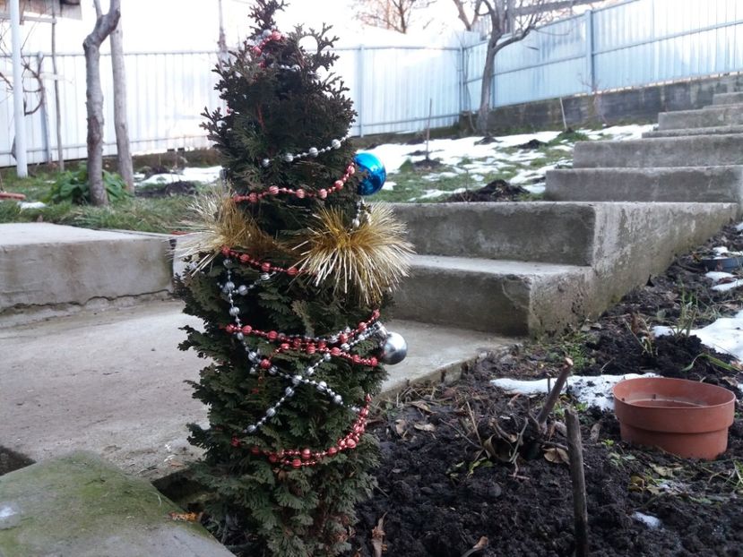 1514291717528-542900102 - 000000000000001   GRADINA MEA