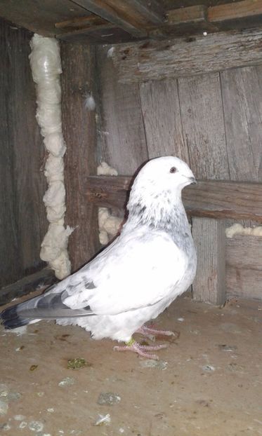 m 2017vândut - De vanzare