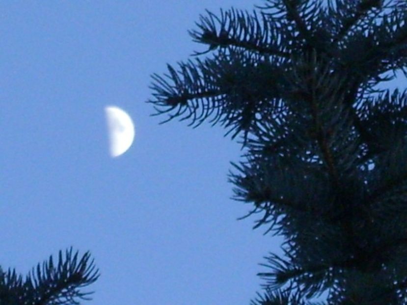 Primul patrar - Luna in Berbec - Luna - Soarele si norii - 1