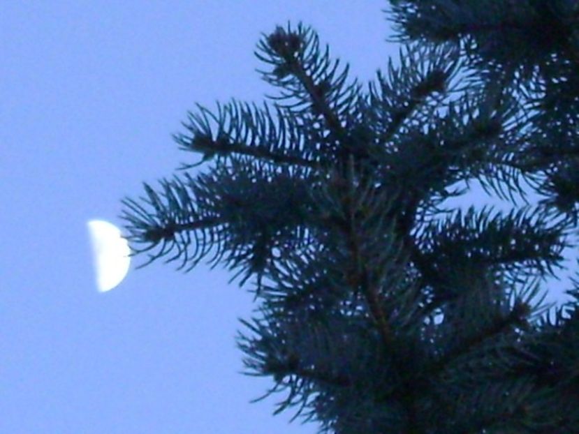Primul patrar - Luna in Berbec - Luna - Soarele si norii - 1