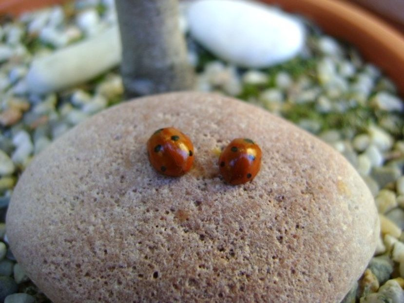 A doua zi de Craciun - v Iarna 2016-2017-2018