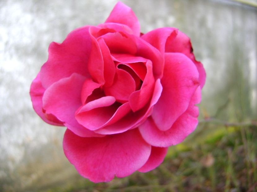 A doua zi de Craciun - v Iarna 2016-2017-2018