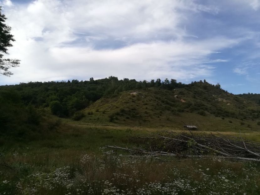  - Loc drag sufletului