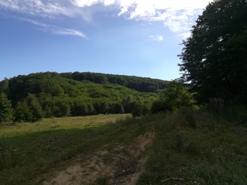  - Loc drag sufletului