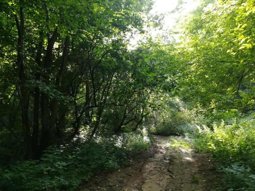  - Loc drag sufletului