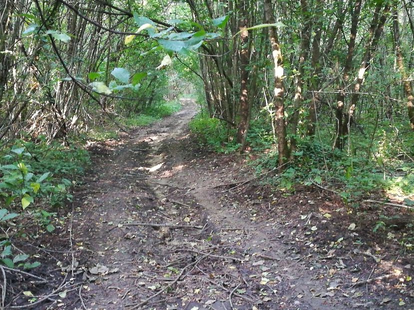  - Loc drag sufletului