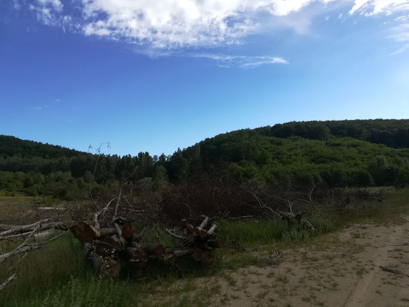  - Loc drag sufletului