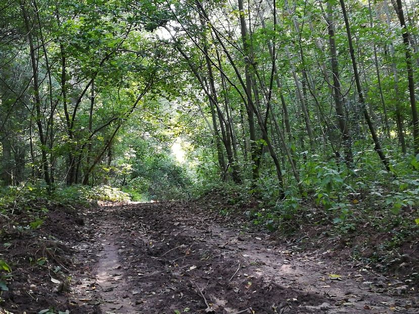  - Loc drag sufletului